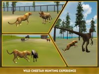 Cкриншот Wildlife cheetah Attack simulator 3D – Chase the wild animals, hunt them in this safari adventure, изображение № 2097588 - RAWG