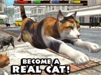 Cкриншот Ultimate Cat Simulator, изображение № 955772 - RAWG