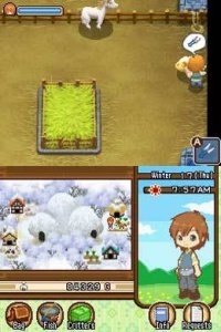 Cкриншот Harvest Moon DS: The Tale of Two Towns, изображение № 791754 - RAWG