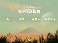 Cкриншот Calm Cards - Spider Solitaire, изображение № 1923899 - RAWG