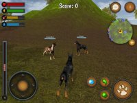 Cкриншот Dog Survival Simulator, изображение № 2327821 - RAWG