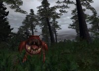 Cкриншот Warhammer Online (2004), изображение № 377348 - RAWG
