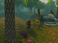Cкриншот World of Warcraft, изображение № 351796 - RAWG
