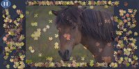 Cкриншот Virtual Jigsaw Puzzles - Animals, изображение № 3670542 - RAWG