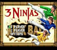 Cкриншот 3 Ninjas Kick Back, изображение № 739456 - RAWG