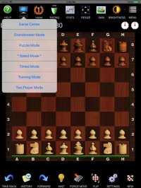 Cкриншот Chess Pro - Ultimate Edition, изображение № 2221350 - RAWG