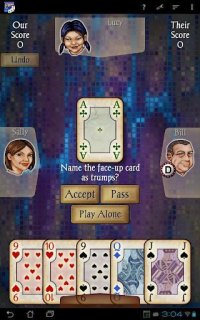 Cкриншот Euchre Free, изображение № 1436170 - RAWG