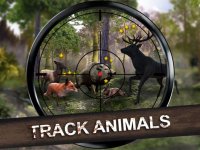 Cкриншот Wild Hunt: Hunting Simulator, изображение № 923129 - RAWG