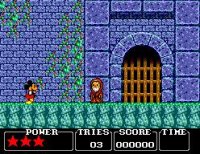 Cкриншот Castle of Illusion Starring Mickey Mouse (1990), изображение № 758693 - RAWG