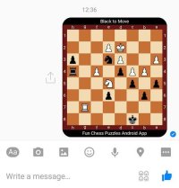 Cкриншот Fun Chess Puzzles Free (Tactics), изображение № 1479095 - RAWG