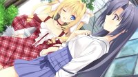 Cкриншот Tsuki ni Yorisou Otome no Sahou, изображение № 3428933 - RAWG