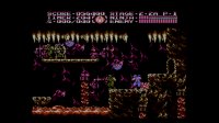 Cкриншот Ninja Gaiden III: The Ancient Ship of Doom (1991), изображение № 1686879 - RAWG