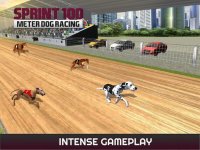 Cкриншот Sprint 100 Meter Dog Racing: Race Dogs On Tracks, изображение № 1780157 - RAWG