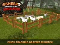 Cкриншот Sheep Dog: Trained Herding Dog Simulator, изображение № 1780218 - RAWG