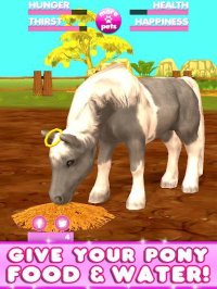 Cкриншот Virtual Pet Pony, изображение № 1561854 - RAWG