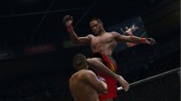 Cкриншот UFC Undisputed 3, изображение № 578336 - RAWG