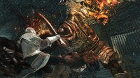 Cкриншот Dark Souls II: Crown of the Old Iron King, изображение № 620428 - RAWG