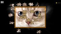Cкриншот Kitty Cat: Jigsaw Puzzles, изображение № 146098 - RAWG