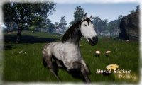 Cкриншот Horse Riding Deluxe, изображение № 716040 - RAWG