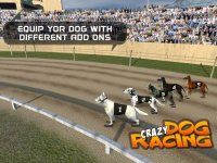 Cкриншот Crazy Dog Racing: Chase Racing Bunny With Pet Dog, изображение № 1780119 - RAWG