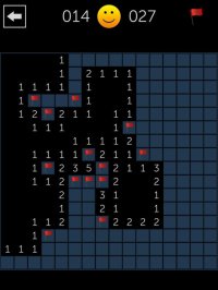 Cкриншот Minesweeper Fun, изображение № 952154 - RAWG