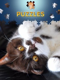 Cкриншот Cats Jigsaw Puzzles 2017, изображение № 966969 - RAWG