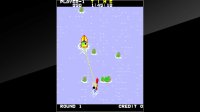 Cкриншот Arcade Archives WATER SKI, изображение № 2141067 - RAWG