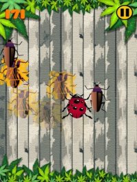 Cкриншот Bugs Crusher - قاتل الحشرات أشهر لعبة مجاني فى العاب ايفون و العاب ايباد, изображение № 2608703 - RAWG