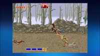 Cкриншот Sega Vintage Collection: Golden Axe, изображение № 3025648 - RAWG