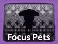 Cкриншот Focus Pets, изображение № 3194611 - RAWG