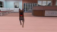 Cкриншот VetVR Veterinary Simulator, изображение № 3521577 - RAWG