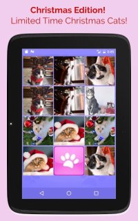 Cкриншот CUTE CATS Memory matching Game, изображение № 1502259 - RAWG
