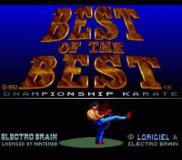 Cкриншот Best of the Best: Championship Karate, изображение № 734788 - RAWG