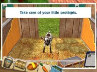 Cкриншот PetWorld: Animal Shelter, изображение № 1843901 - RAWG