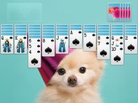 Cкриншот ⋆Spider Solitaire, изображение № 1899412 - RAWG