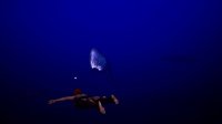 Cкриншот DeepSea Serenity: VR Underwater Trip, изображение № 3664865 - RAWG