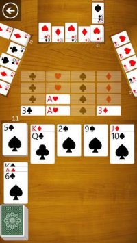 Cкриншот Nertz Solitaire: Pounce the Card Game, изображение № 1390726 - RAWG