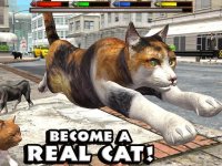 Cкриншот Ultimate Cat Simulator, изображение № 1559777 - RAWG