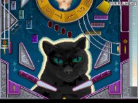 Cкриншот Pinball Wizard 2000, изображение № 337916 - RAWG