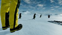 Cкриншот Kolb Antarctica Experience, изображение № 866251 - RAWG