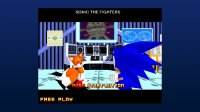Cкриншот Sonic the Fighters, изображение № 275000 - RAWG