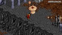 Cкриншот Ultima 8: The Lost Vale, изображение № 460733 - RAWG
