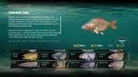 Cкриншот The Catch: Carp & Coarse Fishing, изображение № 3631756 - RAWG