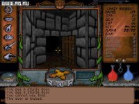 Cкриншот Ultima Underworld: The Stygian Abyss, изображение № 302975 - RAWG