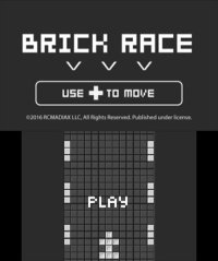 Cкриншот BRICK RACE, изображение № 799265 - RAWG