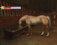 Cкриншот Horse Life Adventures, изображение № 252704 - RAWG