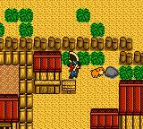 Cкриншот Harvest Moon GB, изображение № 742772 - RAWG