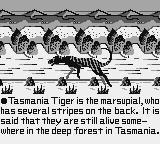 Cкриншот Tasmania Story, изображение № 752115 - RAWG