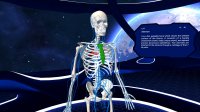 Cкриншот Human Anatomy VR, изображение № 2150008 - RAWG