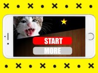 Cкриншот Cats Sounds Game, изображение № 2025729 - RAWG